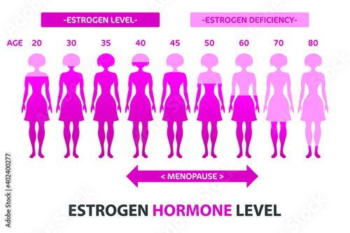 Female estrogen production concept. Vector illustration.