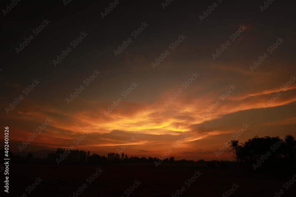 Golden light and silhouette in the morning