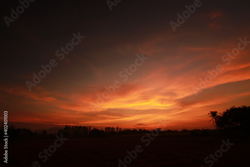 Wallpaper Mural Golden light and silhouette in the morning Torontodigital.ca