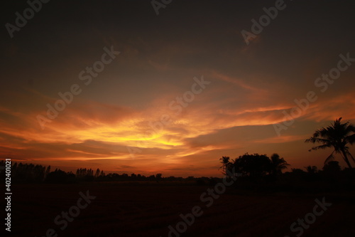 Golden light and silhouette in the morning