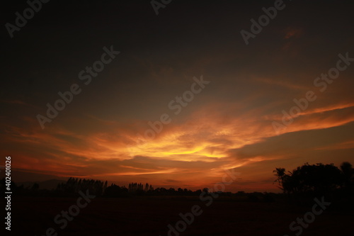 Wallpaper Mural Golden light and silhouette in the morning Torontodigital.ca