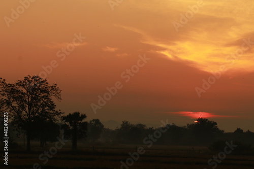 Golden light from sunrise and silhouette in the morning