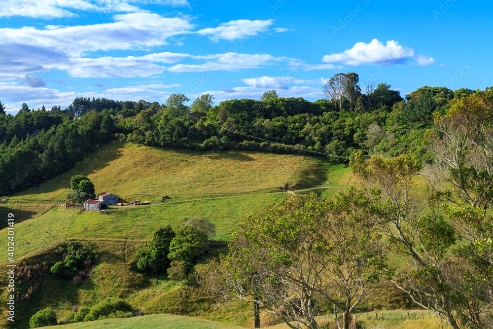 Rural hill country in the Bay of Plenty, New Zealand, with grassy meadows, forest, and two metal barns