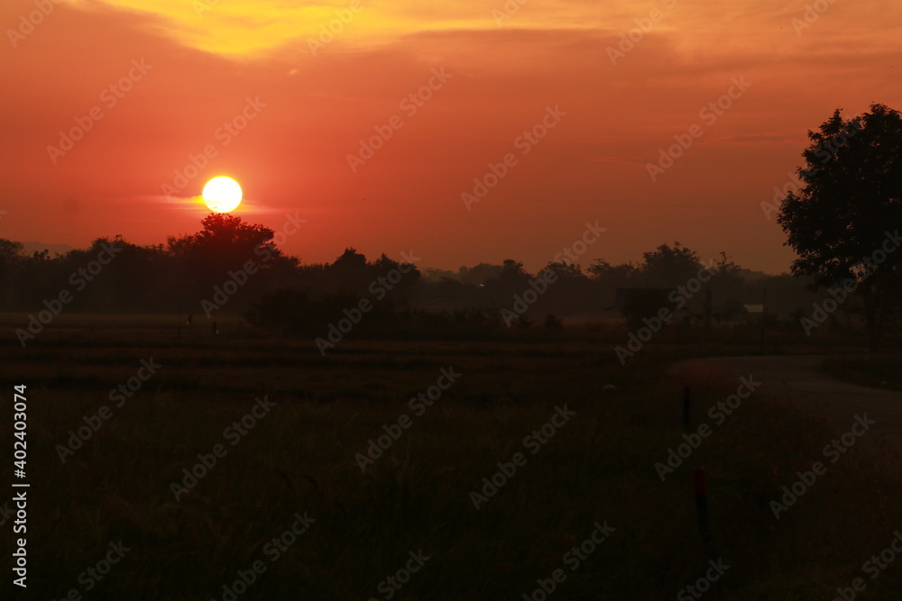 Golden light from sunrise and silhouette in the morning Golden light from sunrise and silhouette in the morning
