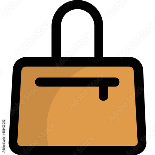 Ladies Handbag 
