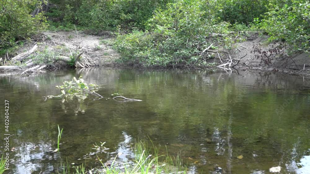A beautiful view of a river during a hot summer day. You can see the reflection of trees in the water under the effect of wind. A beautiful view of a river during a hot summer day. You can see the reflection of trees in the water under the effect of wind.