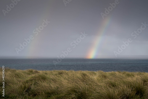 Phillip Island Victoria Australia