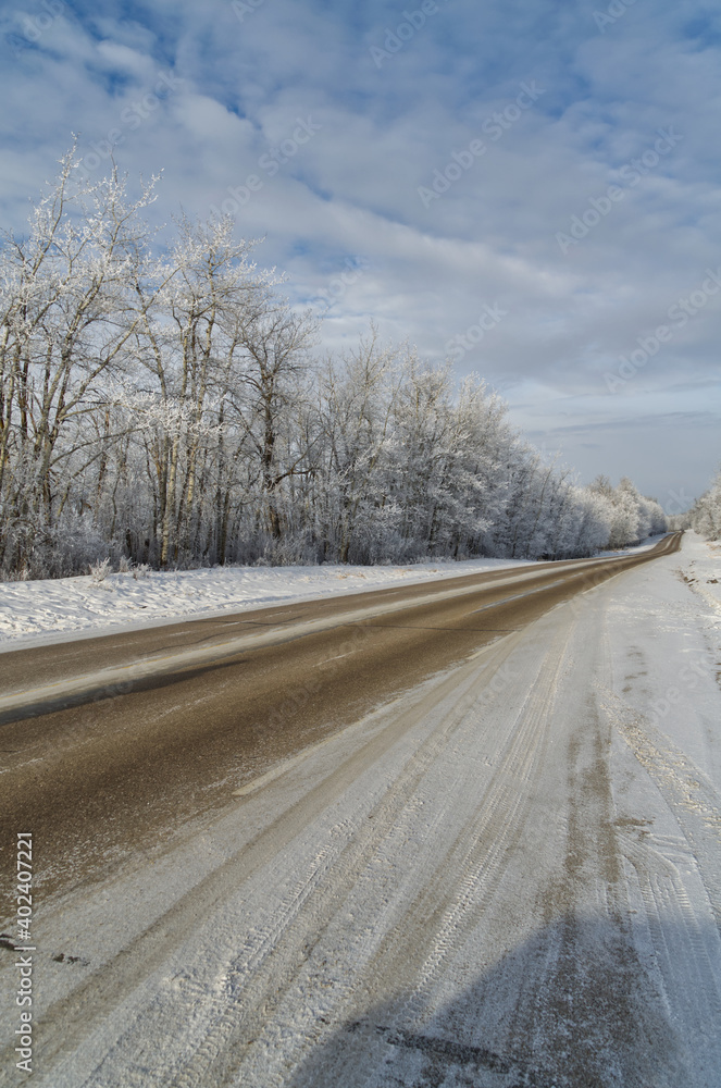 Elk Island in the Winter Elk Island in the Winter