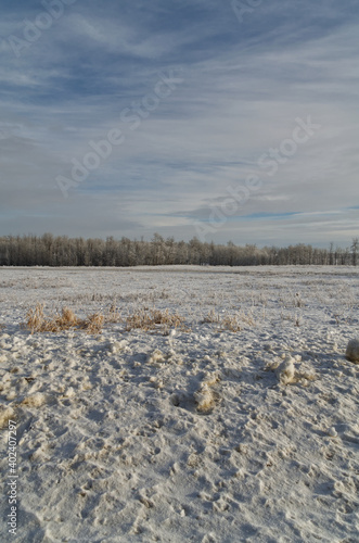 Elk Island in the Winter