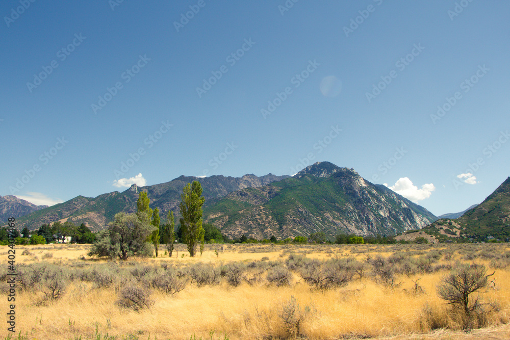 Fototapeta premium Lifestyle in Utah