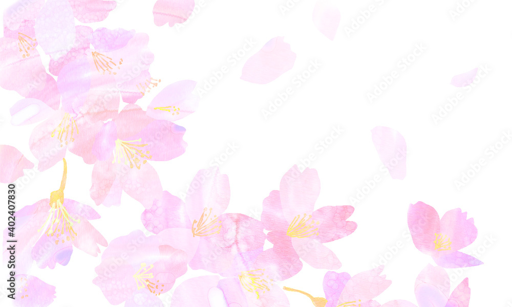 Watercolor background illustration of cherry blossoms Watercolor background illustration of cherry blossoms