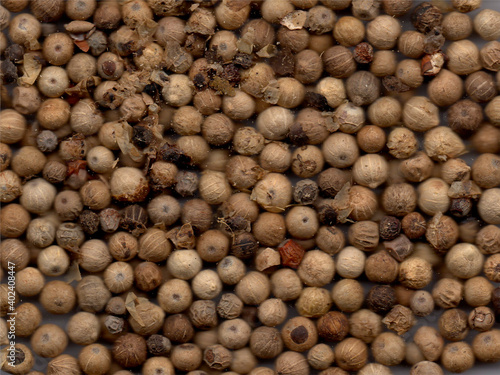 One of the spices, namely pepper grains