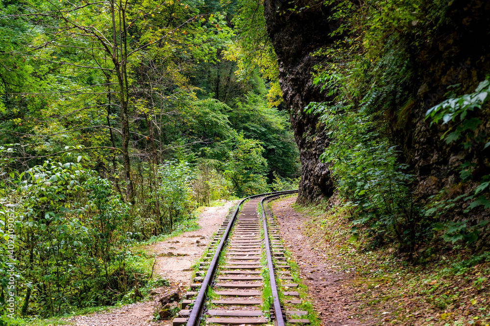 Obraz premium Old narrow gauge railway in mountain region.
