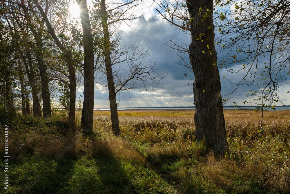 Lichtstimmung am Grabower Bodden bei Nisdorf, Nationalpark Vorpommersche Boddenlandschaft, Mecklenburg-Vorpommern, Deutschland Lichtstimmung am Grabower Bodden bei Nisdorf, Nationalpark Vorpommersche Boddenlandschaft, Mecklenburg-Vorpommern, Deutschland