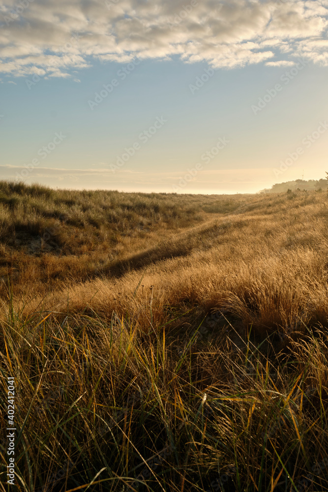 Sonnenaufgang über den Dünen im Ostseebad Prerow auf dem Darß, Fischland-Darß-Zingst, Mecklenburg Vorpommern, Deutschland Sonnenaufgang über den Dünen im Ostseebad Prerow auf dem Darß, Fischland-Darß-Zingst, Mecklenburg Vorpommern, Deutschland