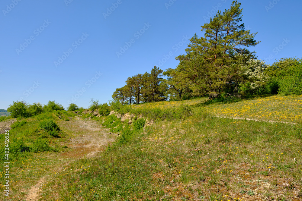 Fototapeta premium Landschaft im Naturschutzgebiet Grainberg-Kalbenstein bei Karlstadt, Landkreis Main-Spessart, Unterfranken, Bayern, Deutschland