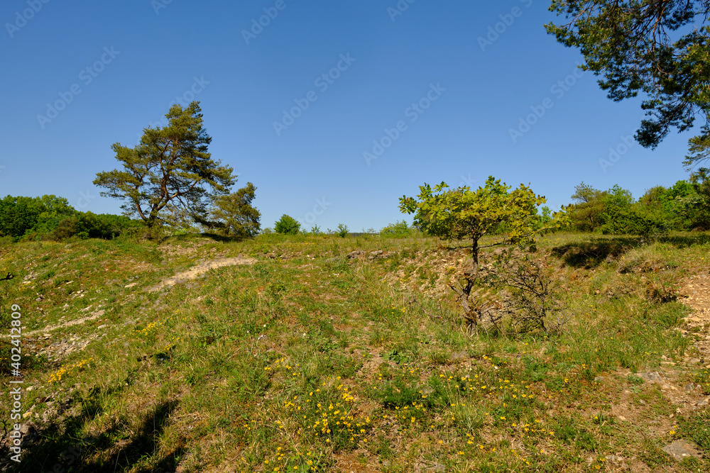 Landschaft im Naturschutzgebiet Grainberg-Kalbenstein bei Karlstadt, Landkreis Main-Spessart, Unterfranken, Bayern, Deutschland Landschaft im Naturschutzgebiet Grainberg-Kalbenstein bei Karlstadt, Landkreis Main-Spessart, Unterfranken, Bayern, Deutschland