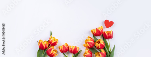 Tulips on white background of copy space, concept of Mother's day. photo