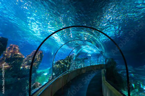 Water Tunnel