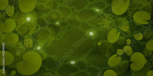 Papier peint River with lilies top view