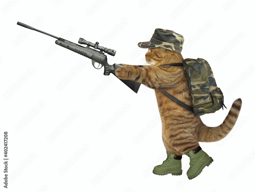 Fototapeta premium A cat hunter in military uniform is holding a rifle with optical sight. White background. Isolated.