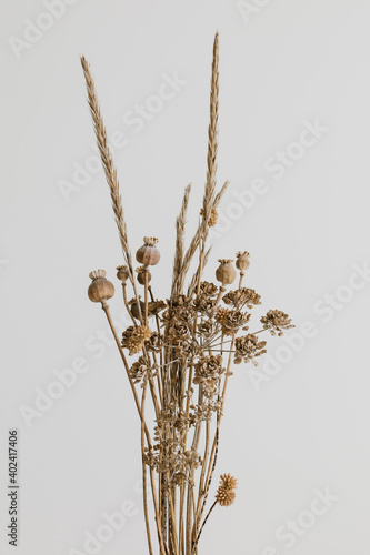 Brown wild dried flower bouquet on white background. Dried poppy head, pampas and grass.  © Moodlia