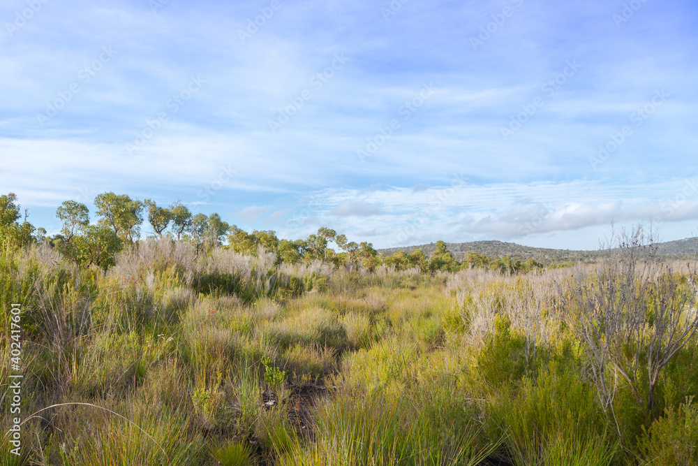 Landscape in the Two Peoples Bay Nature Reserve east of Albany in Western Australia Landscape in the Two Peoples Bay Nature Reserve east of Albany in Western Australia