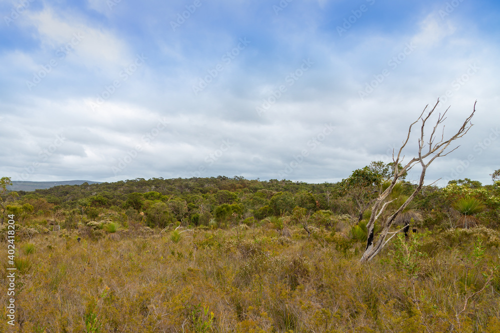 Landscape of the Gull Rock National Park in the east of Albany, Western Australia Landscape of the Gull Rock National Park in the east of Albany, Western Australia