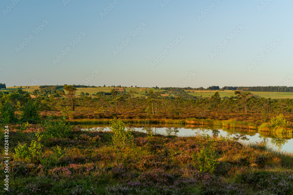Das Naturschutzgebiet Das Naturschutzgebiet