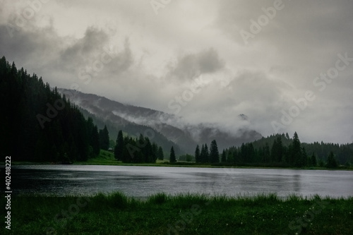 fog and rain at a lake in the green nature while hiking