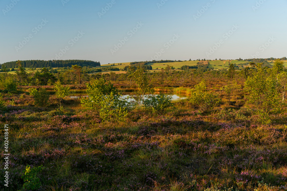 Fototapeta premium Das Naturschutzgebiet