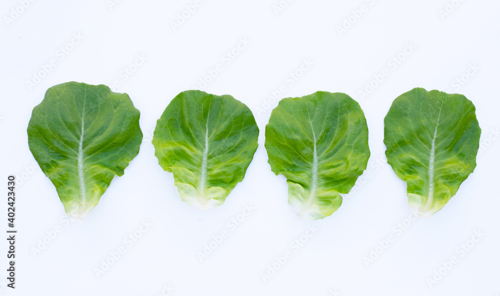 Obraz premium Lettuce leaves on white background.