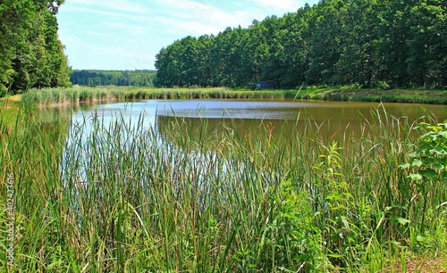 Dobcza , Krasne , Pawłowa , Cieplice , Dąbrowica , Ożańsk , Piskorowice photo