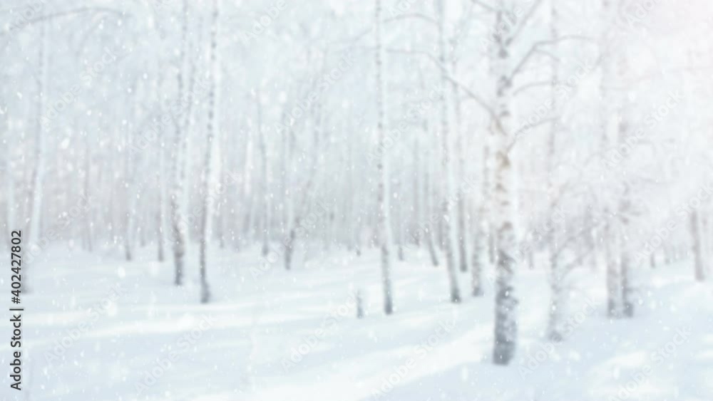 Fresh snow is falling on a blurred background of a frosty birch forest. Snowfall in winter with bright sun. Panoramic 4K video Fresh snow is falling on a blurred background of a frosty birch forest. Snowfall in winter with bright sun. Panoramic 4K video