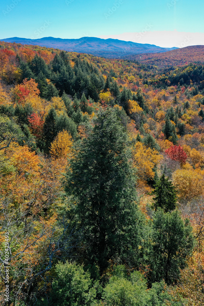 Peak Foliage - Stowe, Vermont