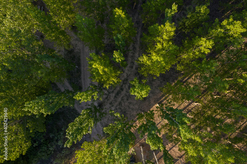 Aerial Zenith views of forest, fields and old wooden bridge