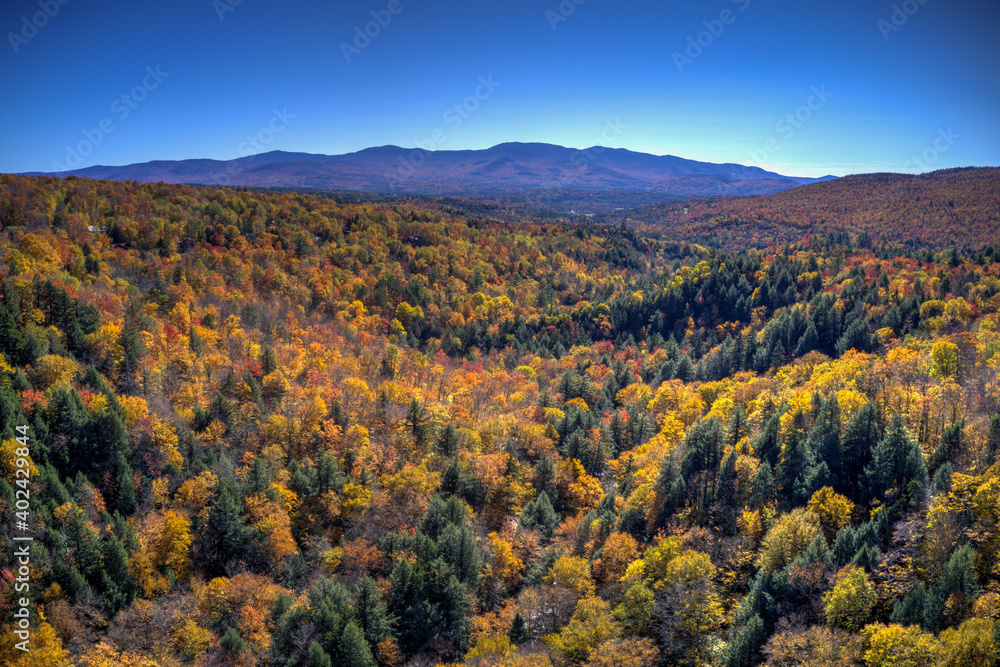 Obraz premium Peak Foliage - Stowe, Vermont