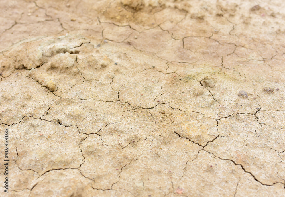 Dry lake in the process of drought and lack of rain or moisture. Dried lake under the impact of climate change and drought. Water crisis at africa or ethiopia. Drainage of swamp for peat extraction Dry lake in the process of drought and lack of rain or moisture. Dried lake under the impact of climate change and drought. Water crisis at africa or ethiopia. Drainage of swamp for peat extraction