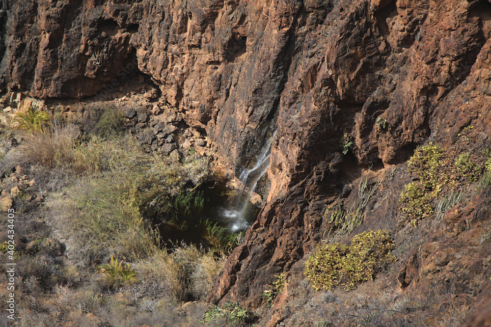 Gran Canaria, landscapes along the hiking route around the ravive Barranco del Toro at the southern part of the 
island, full of caves and grottoes, close to San Agustin resort, water is running in th