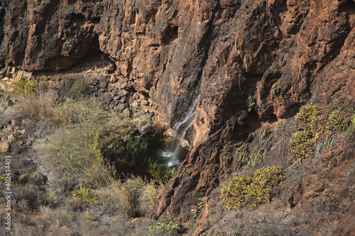 Gran Canaria, landscapes along the hiking route around the ravive Barranco del Toro at the southern part of the island, full of caves and grottoes, close to San Agustin resort, water is running in th