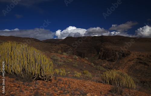Gran Canaria, landscapes along the hiking route around the ravive Barranco del Toro at the southern part of the island 