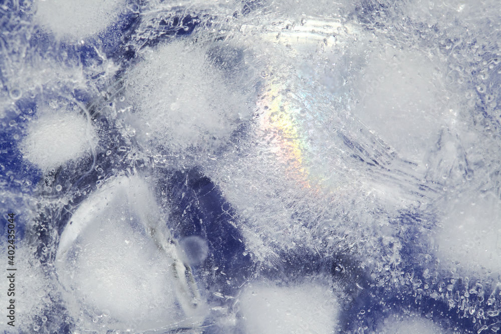 Frozen flora - iced texture with separate ice cubes frozen into a block of ice Frozen flora - iced texture with separate ice cubes frozen into a block of ice