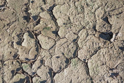 Cracked dried ground texture. Infertile soil top view as background