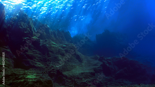Beautiful underwater landscape and scenery in the Atlantic ocean. © Johan