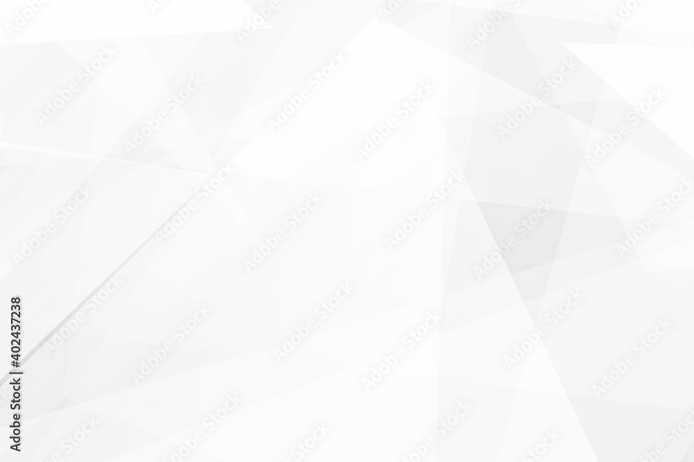 Fototapeta premium Abstract white and grey on light silver background modern design. Vector illustration EPS 10.