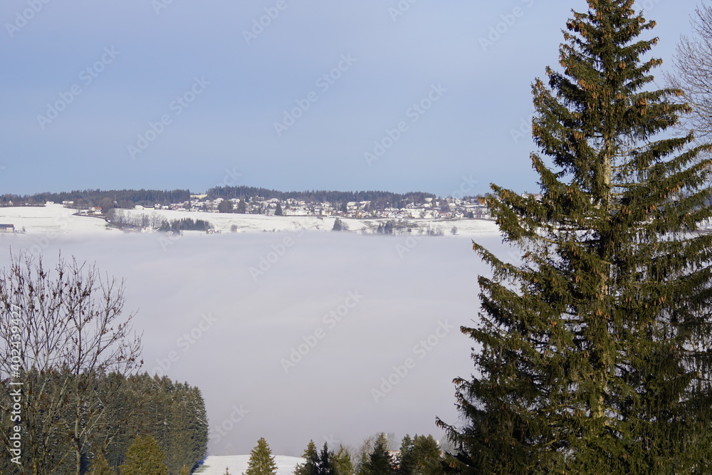 Tief hängende Wolken Nebel in einem Tal im Allgäuer Alpenvorland