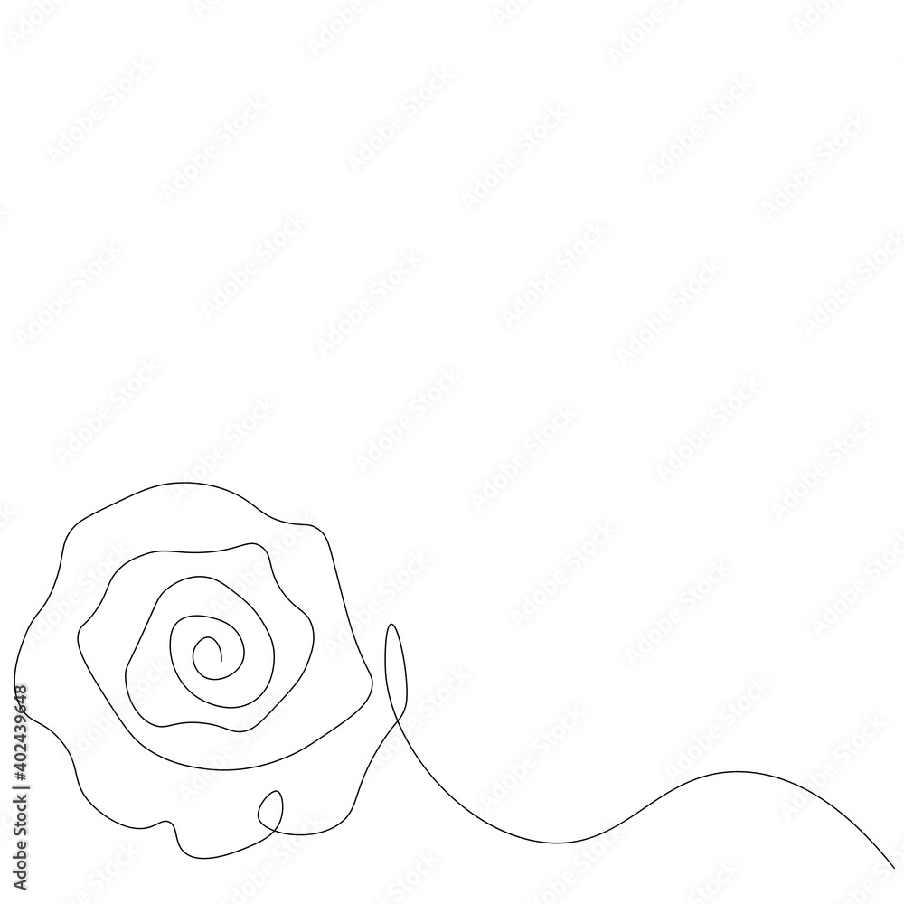 Fototapeta Rose flower line drawing vector illustration