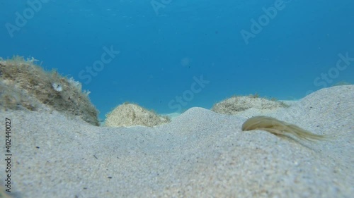 Underwater landscape in a beautiful Aegean Sea beach in Ikaria, Greece, Mediterranean Sea photo