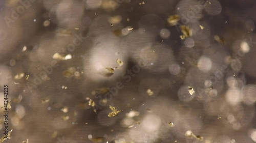 Gold leaf floating in gin Christmas liquor drink macro detail (ID: 402442235)