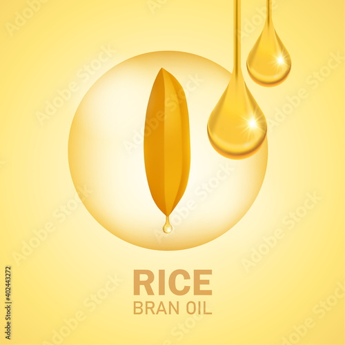 Premium Rice great quality design concept  vector.